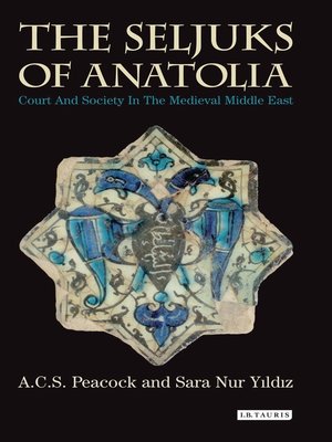 cover image of The Seljuks of Anatolia
